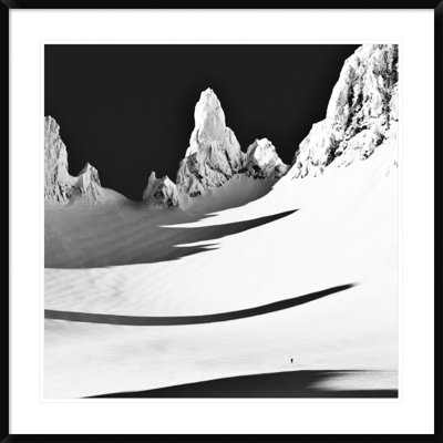 Contrast Print by Thom Filicia