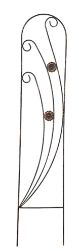 Trellis arqué kazafani, 4'