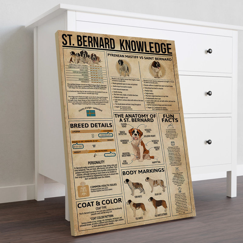 Toile tendue St.Bernard, H 14 po x l 11 po x P 2 po