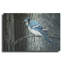 «Backyard Jay» par Ron Parker-298724357