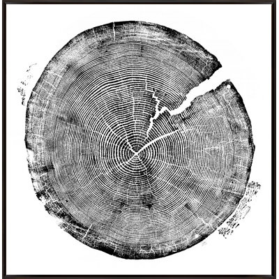 Pine Print