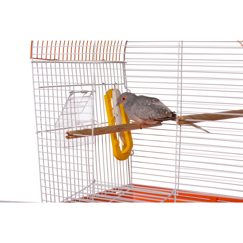 Cuttlebone Holder