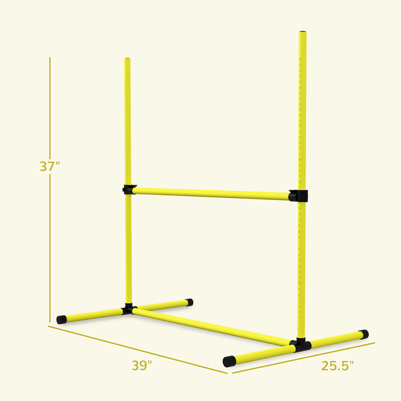 Ensemble de cours pour chien, Jaune