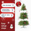 Arbres de noël