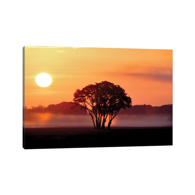 Pasture Sunrise by Dennis Frates - Print on Canvas
