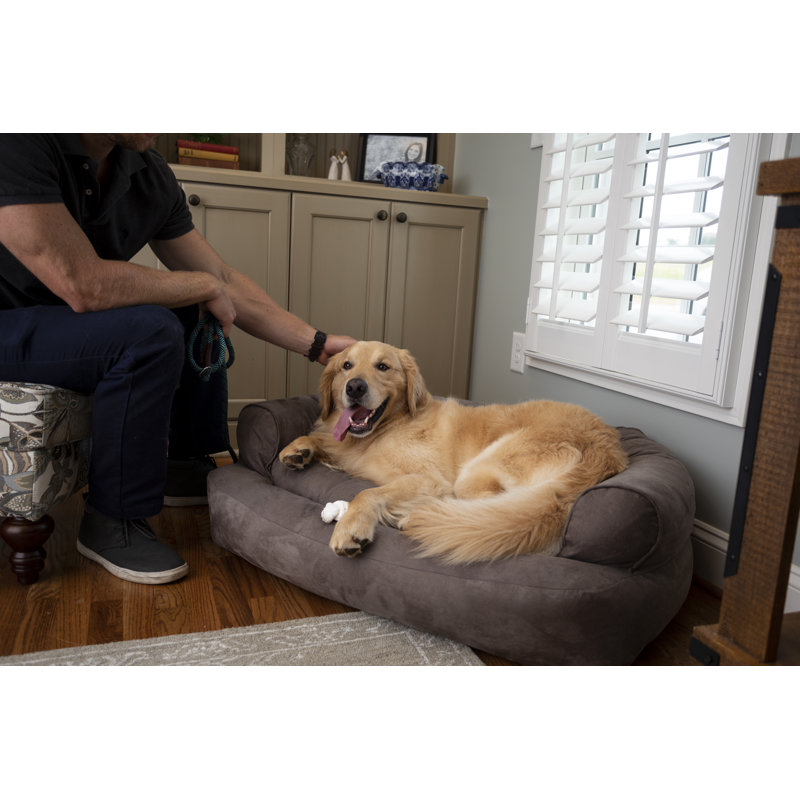 Canapé pour chien de luxe avec traversin en microsuède ultrarembourré Snoozer, Très grand (l 36 po x P 54 po x H 13 po)