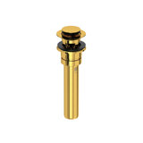 Push Drain with Overflow