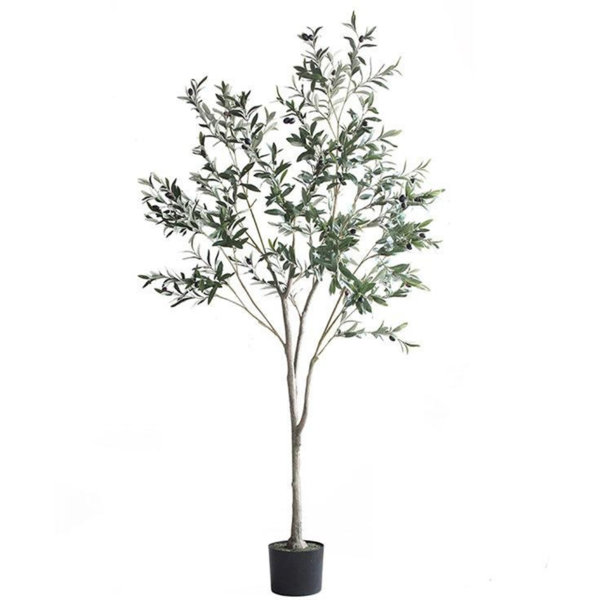 Primrue 6'' Faux Olive Tree Tree in Pot & Reviews | Wayfair