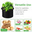 Planter Box