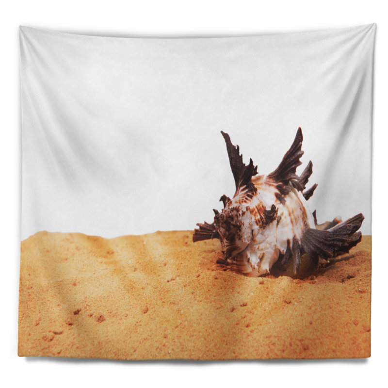 Tapisserie de coquillage sur fond de sable, H 50 po x l 60 po