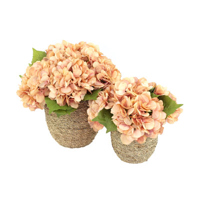 Arrangements floraux d'hortensias d'automne Carytown