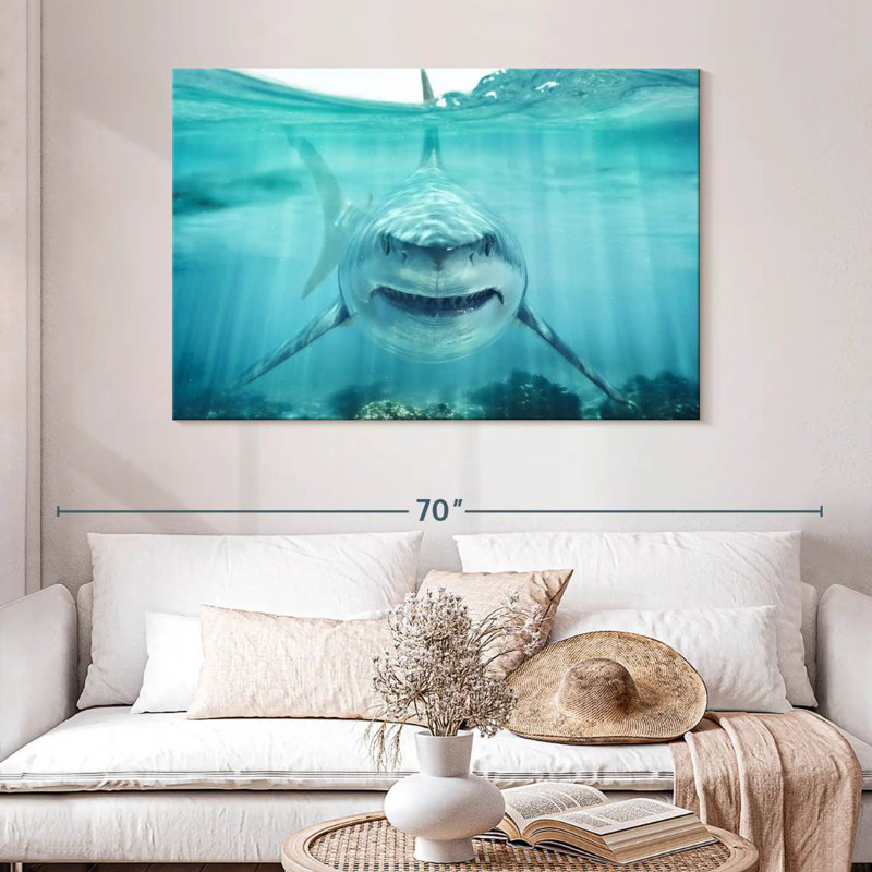 Requin blanc Brampt, H 32 po x l 48 po