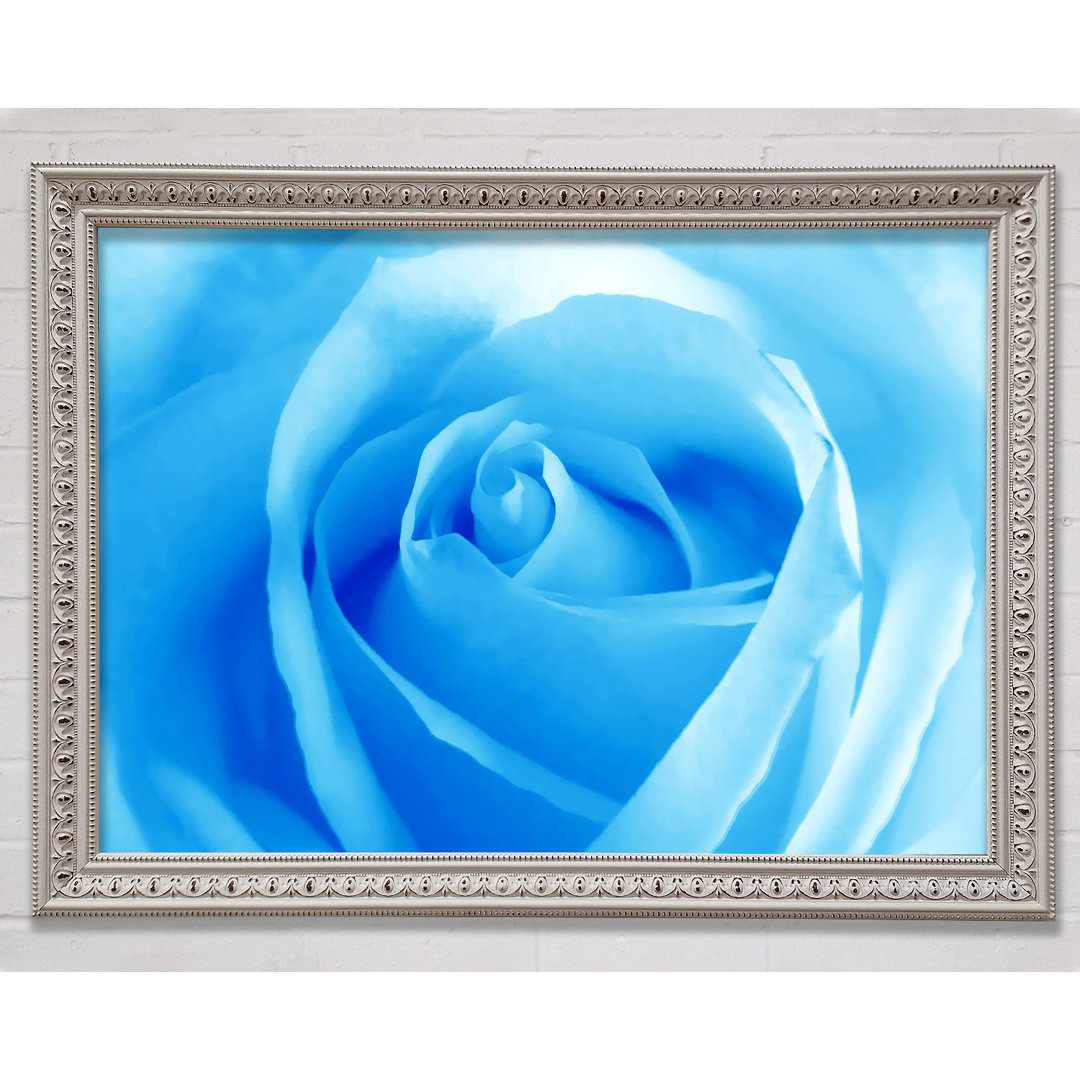 Baby Blue Rose Gerahmter Druck