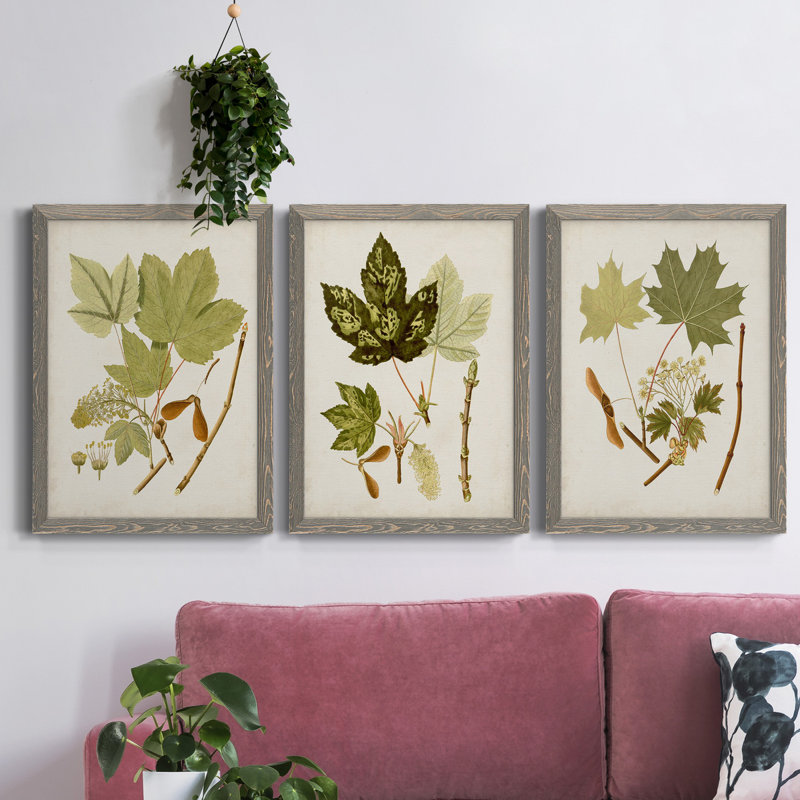 Feuilles antiques IV - ensemble de 3 peintures sur toile encadrées, H 31,5 po x l 47 po x P 1,5 po, Gris