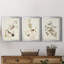 Pl. «194 Canadian Titmouse», ensemble de 3 reproductions d'art sur toile encadrées-1877724126-1877724127