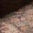 Violaine Medallion Area Rug-1535517543
