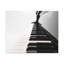 No Frame Print on Canvas-61776505