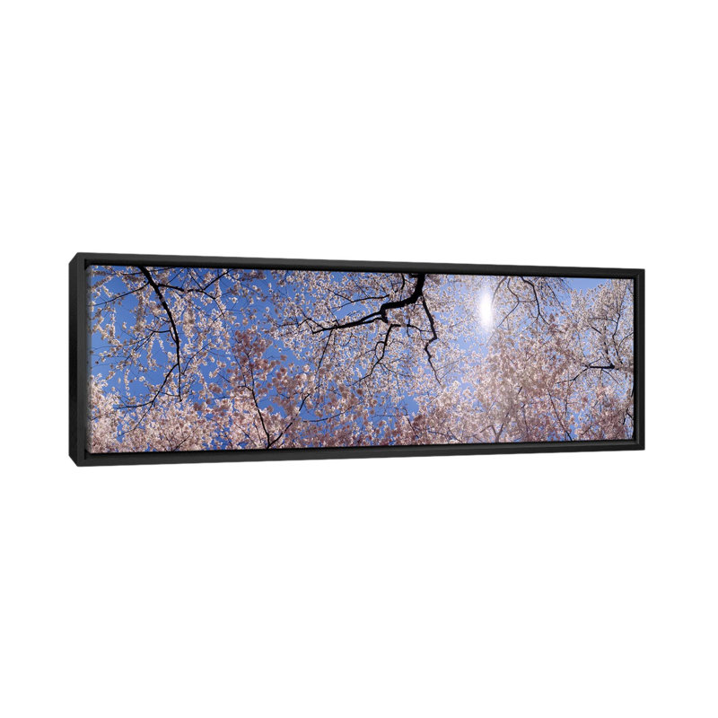 Reproduction de photo panoramique sur toile tendue washington d.c., H 12 po x l 36 po x P 1,5 po, Toile avec cadre noir