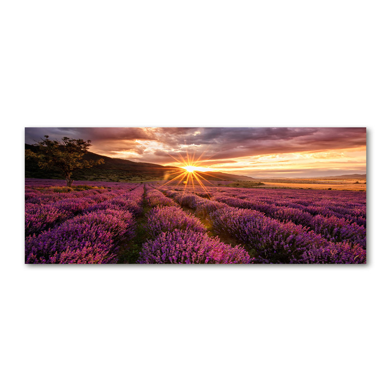 Lavender Field - Wrapped Canvas Print