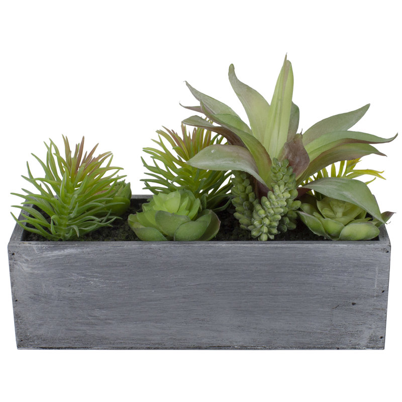 Plantes grasses artificielles mélangées 12 po dans un pot de fleurs rectangulaire