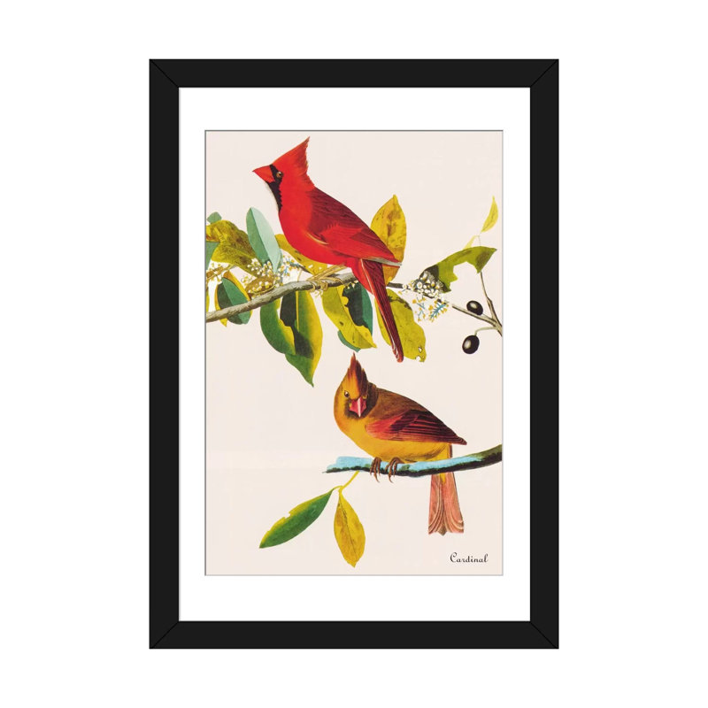 «Cardinal» par John James Audubon - reproduction, H 24 po x l 16 po x P 1 po, Papier beaux-arts encadré noir, Blanc