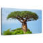 Baobab africain-1021795776