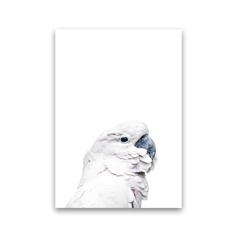 White Cockatoo 1 Piece Wall Art, 42cm H x 30cm W x 1cm D, Unframed