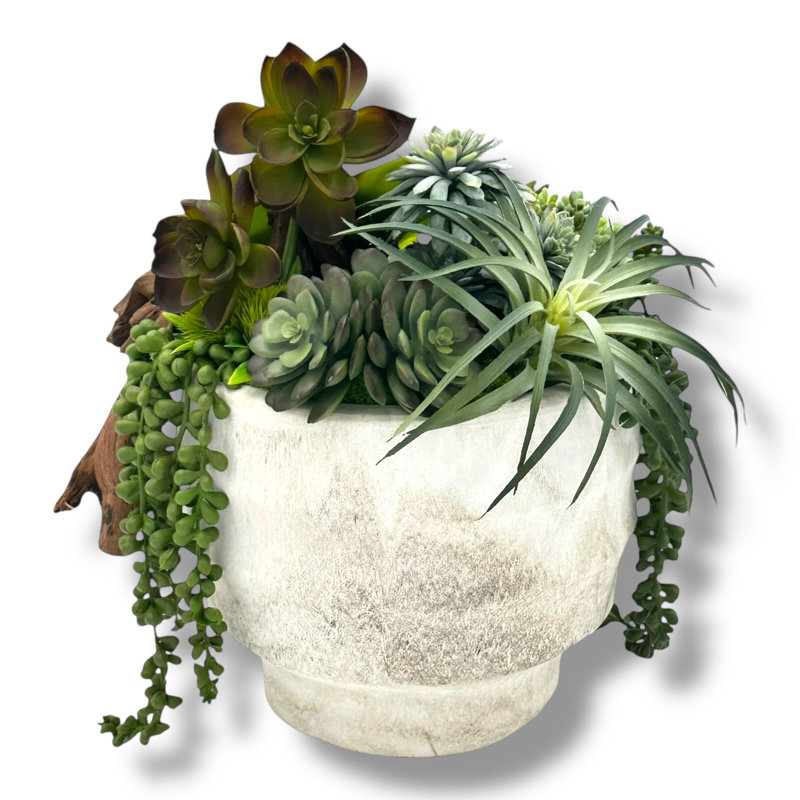 Succulent Design in Off-White Circular Ceramic Vase