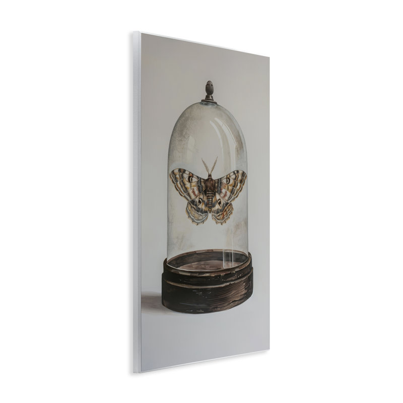 «Moth in Glass Cloche» par Petal Prints Design, H 15 po x l 10 po