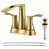 Brushed Gold