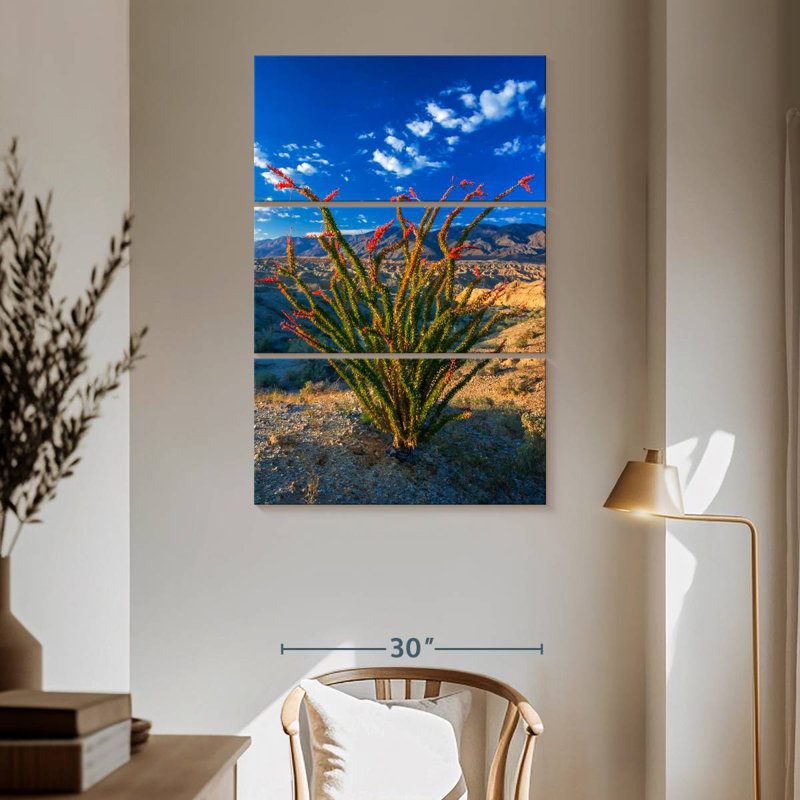 Harnek Ocotillo In Anza Borrego, 65" H x 42" W