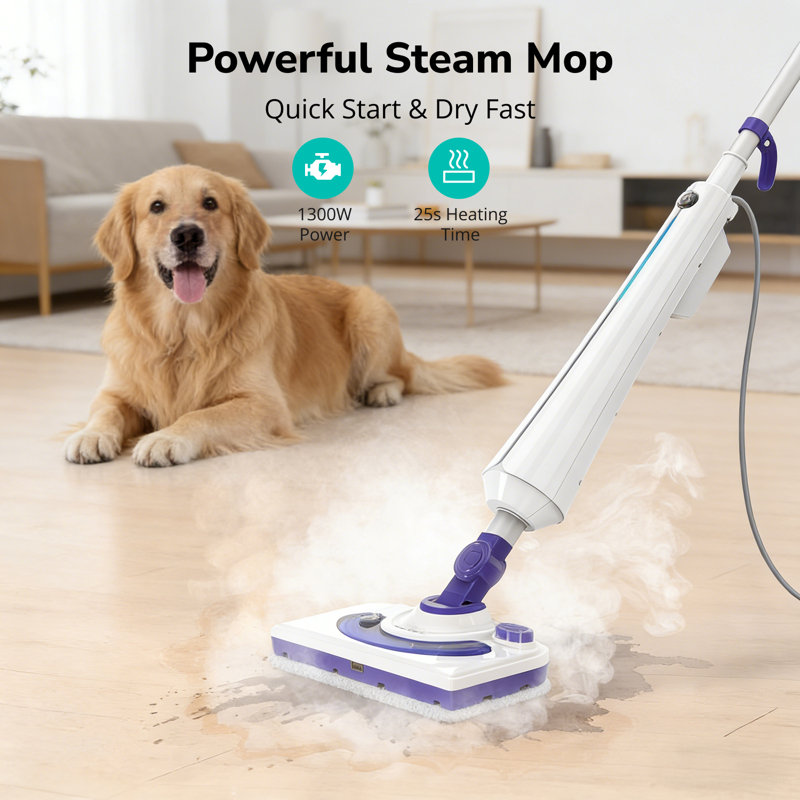 Aspiron Backpack Vacuum
