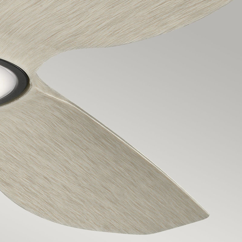 Anston 65cm Ceiling Fan with LED Lights