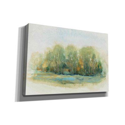 «Forest Vignette I» par Tim O'toole, art mural sur toile