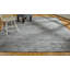 Shonta Area Rug in Gray-3315958