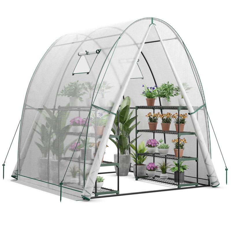 Serre l 72 po x P 72 po, Blanc