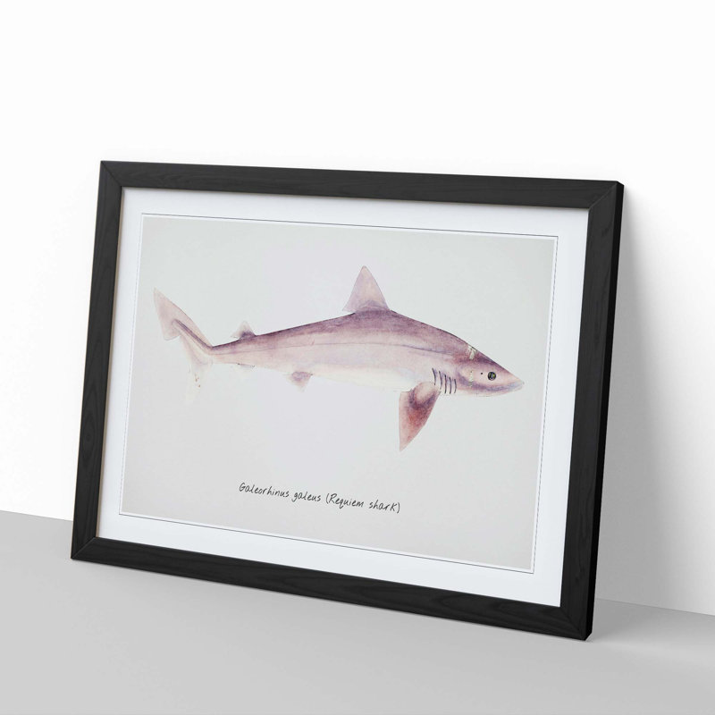 Illustration of a Requiem Shark by F.E. Clarke - Picture Frame Painting Print, 36cm H x 48cm W x 2cm D, Black Framed
