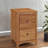 Malani 18'' Wide 2 -Drawer Solid Wood File Cabinet-1683964631