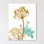 Desert Bloom 2 - Wrapped Canvas Print-896672497