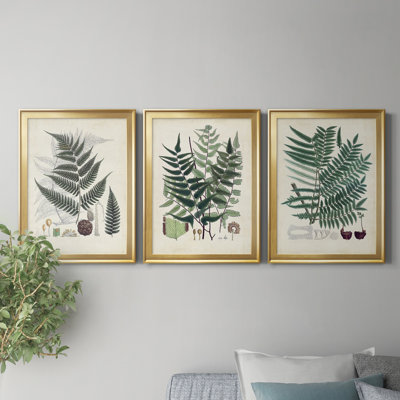 «Ferns VI», reproduction encadrée de qualité supérieure, prête à être accrochée