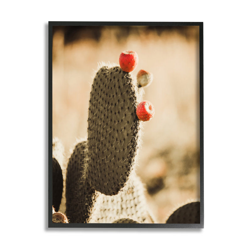 Prickly Pear Cactus Fruits par Krista Broadway - photographie à cadre flottant sur bois, Giclée encadrée noir minuit