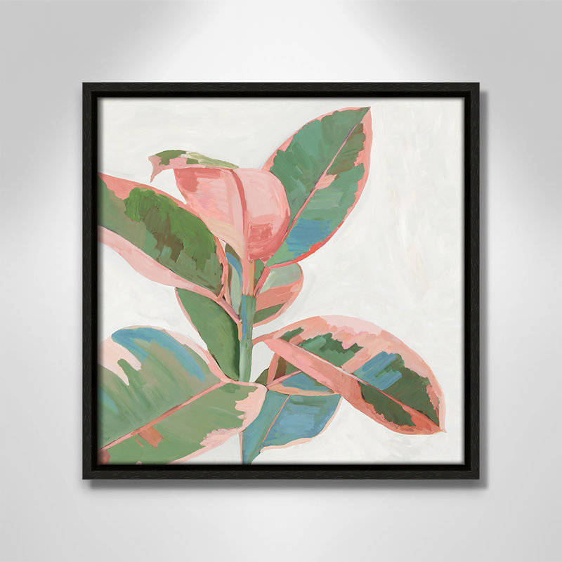 Ficus rose I - reproduction d'art, H 13,5 po x l 13,5 po x P 2 po, Toile avec cadre espresso
