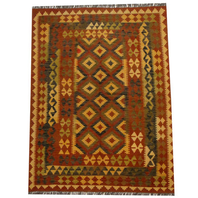 Azpeitia Wool Southwestern Indoor Rug