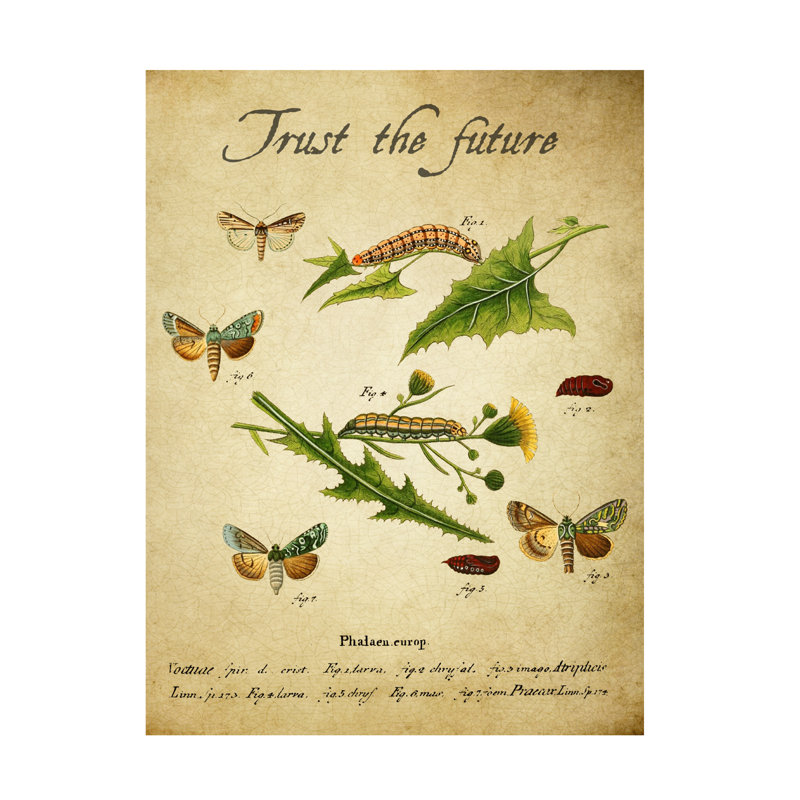 Art mural sur toile tendue - Gail Fraser «Embracement change - Trust», art mural pour salon, chambre à coucher ou bureau - 14 x 19