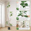 Arbre en caoutchouc artificiel avec pot en résine noir / blanc et faux arbre en pierre blanche pour l'intérieur et l'extérieur-263177010-263177011