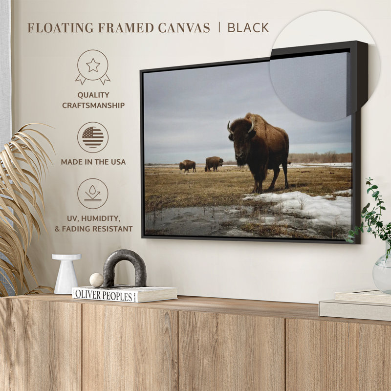 Bison Cloud Day Canvas Print, 13" H x 19" W