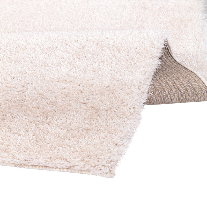 Chantoria Shag Indoor / Outdoor Area Rug, Rectangle 60 x 110 cm