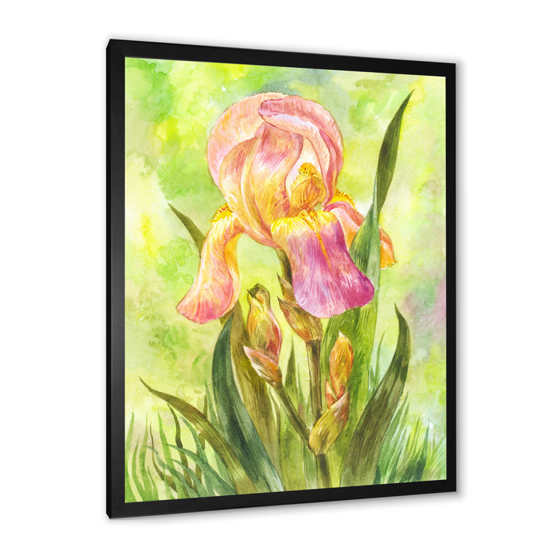 Rose et jaune fleur d'iris II - art mural traditionnel sur toile, Cadre photo noir, H 20 po x l 12 po x P 1 po