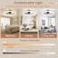 Ceiling Fan with LED Lights-606489590