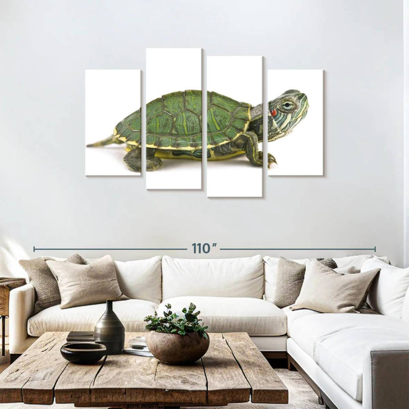 Brampt Red Eared Turtle, 48"H x 75"W